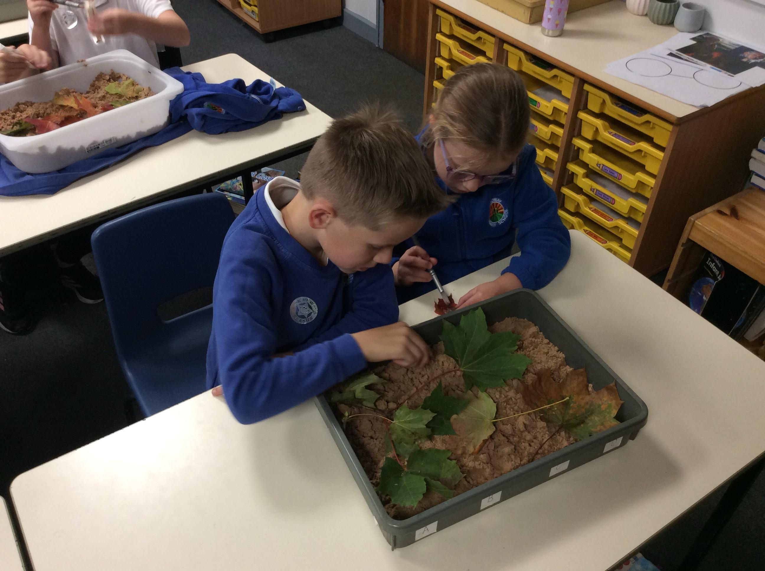 Autumn in Y3